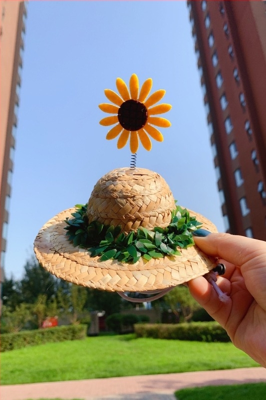 Pălărie rotativă pentru animale de companie din iarbă, cu motiv Bamboo Dragonfly, pentru câini și pisici - material: floare de mătase, toamnă, utilizare universală, model 69850