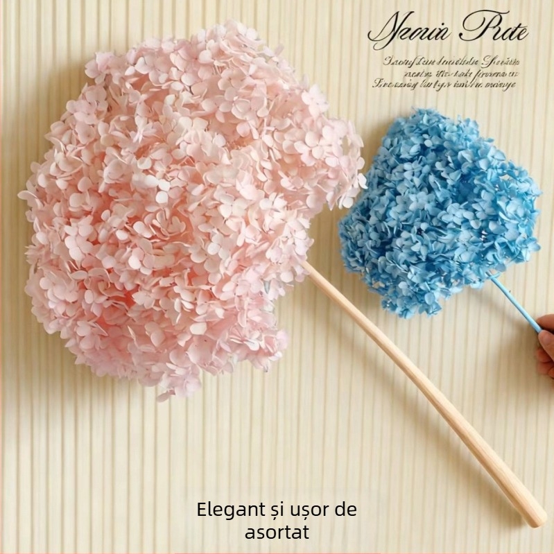 Hortensia Anna — Flori păstrate, decorațiuni DIY pentru casă și evenimente; Brand: Everlasting Anna Hydrangea; Material: flori păstrate; Varietate: Anna