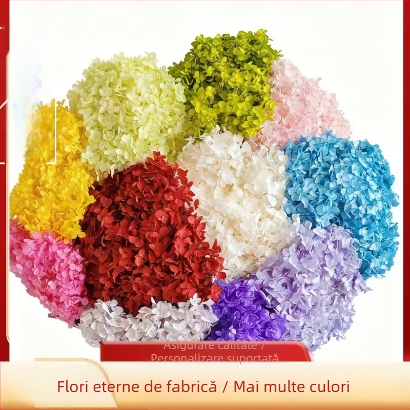 Hortensia Anna — Flori păstrate, decorațiuni DIY pentru casă și evenimente; Brand: Everlasting Anna Hydrangea; Material: flori păstrate; Varietate: Anna