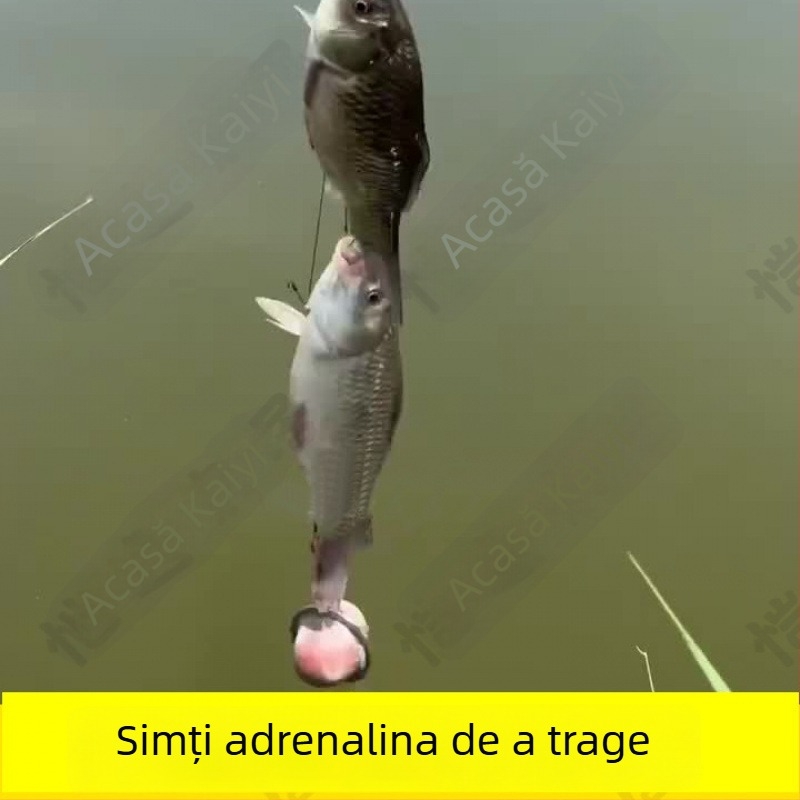 Air Force Star Kit de pescuit pentru începători cu cușcă de momeli din plasă fină și set de cârlige (SKU Pfujvz3nAMP+RAarJgjBw8e9c3s; Export cross-border: Da; Piața principală: Asia de Sud-Est)