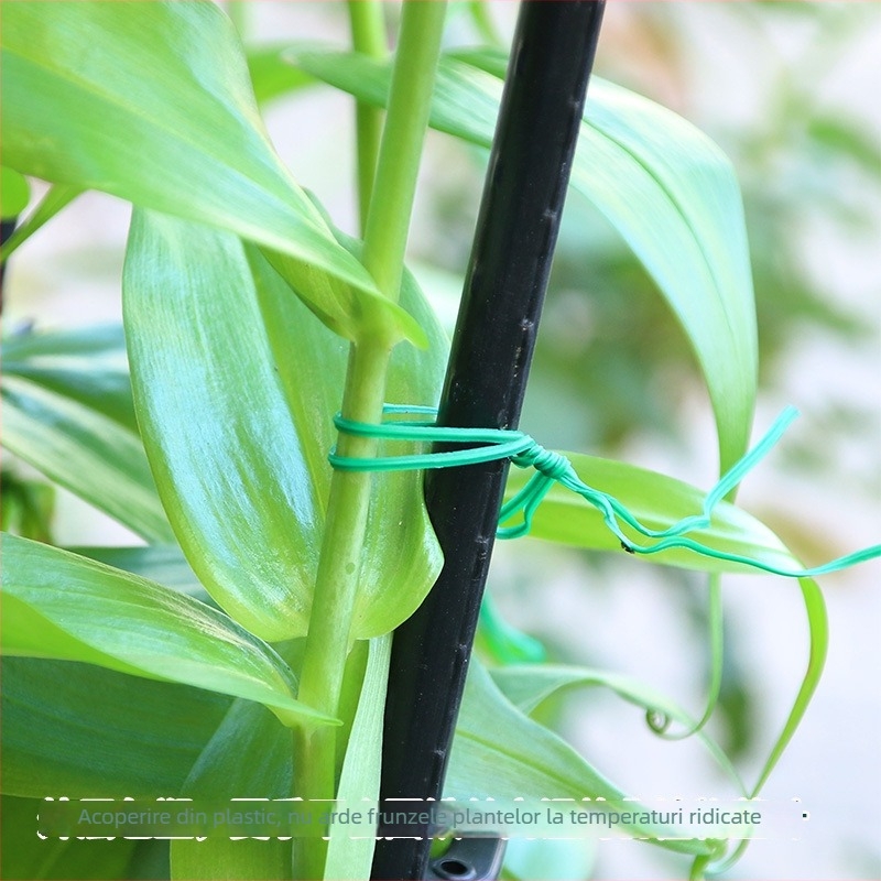 Legături pentru plante de grădină - Legături din plastic pentru susținerea și întreținerea plantelor (Plastic; grădinărit domestic)
