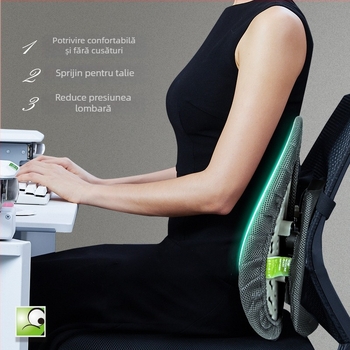 Perne ergonomice lombare pentru scaun de birou, ABS material, logo imprimat, potrivite pentru șederi prelungite