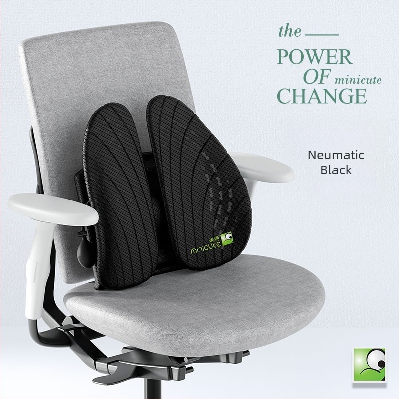 Perne ergonomice lombare pentru scaun de birou, ABS material, logo imprimat, potrivite pentru șederi prelungite