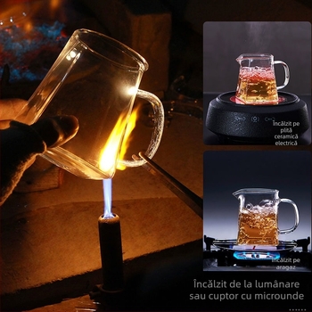 Set de ceai din sticlă rezistentă la temperatură, cu filtru pentru ceai încorporat și filtru de infuzie