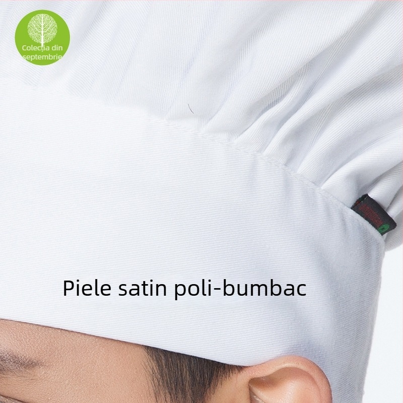 Beret din bumbac twill, monocrom, pentru bărbați, toate sezoanele