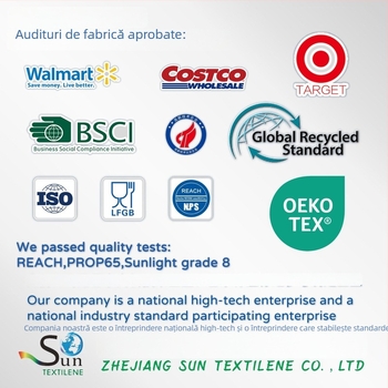 Placă rotundă pentru masă în formă de ventilator, material PVC, culoare solidă, formă neregulată, stil modern minimalist, non-biodegradabil