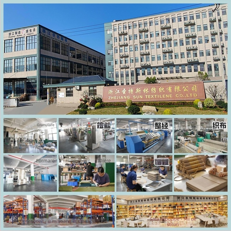 Placă rotundă pentru masă în formă de ventilator, material PVC, culoare solidă, formă neregulată, stil modern minimalist, non-biodegradabil