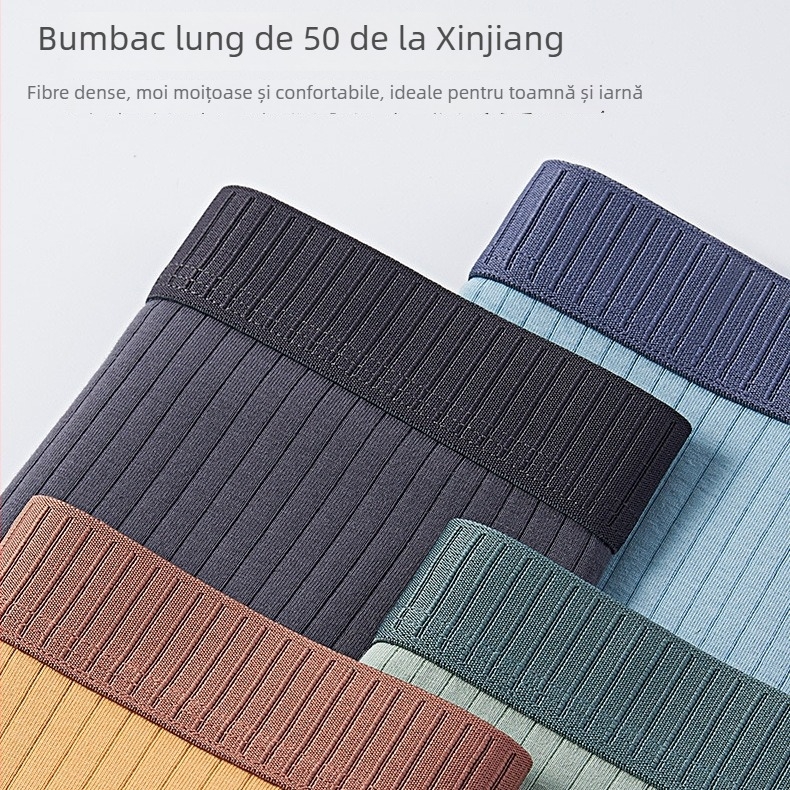 Boxeri bărbați din bumbac, tricot cu nervuri, 50s bumbac, talie medie, respirabili și antibacterieni