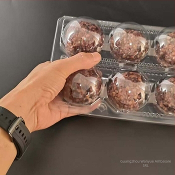 Cutie de unică folosință din PET, transparentă, pentru ambalarea bilelor de orez, livrare, 100 buc., microunde indisponibil, nebiodegradabil