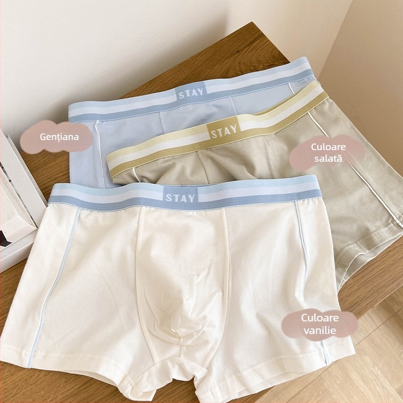 Boxer bărbătești din bumbac, respirabili, uscare rapidă, antibacterieni, talie medie, tricotate