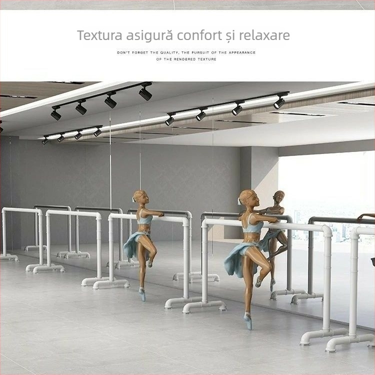 Bară de dans – bară profesională mobilă pentru studio și uz casnic în interior