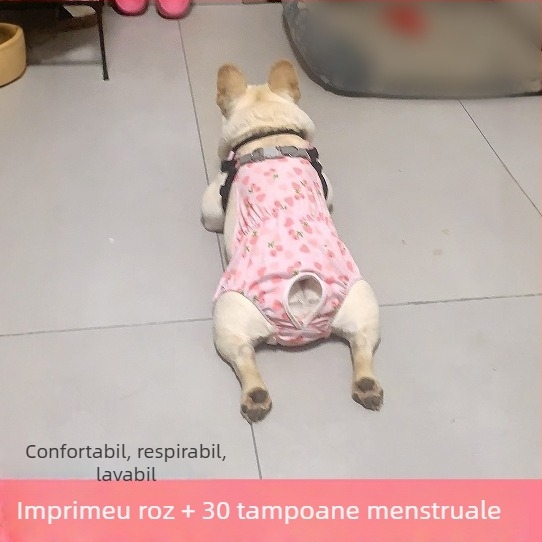 Pantaloni fiziologici pentru femelele câinilor - exterior mătase, căptușeală din blană de iepure, talie medie, funcție fiziologică