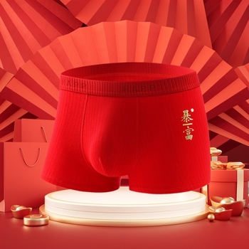 Boxeri pentru bărbați din bumbac, antibacterieni, cu motivul anului zodiacal 2025, talie medie, model text