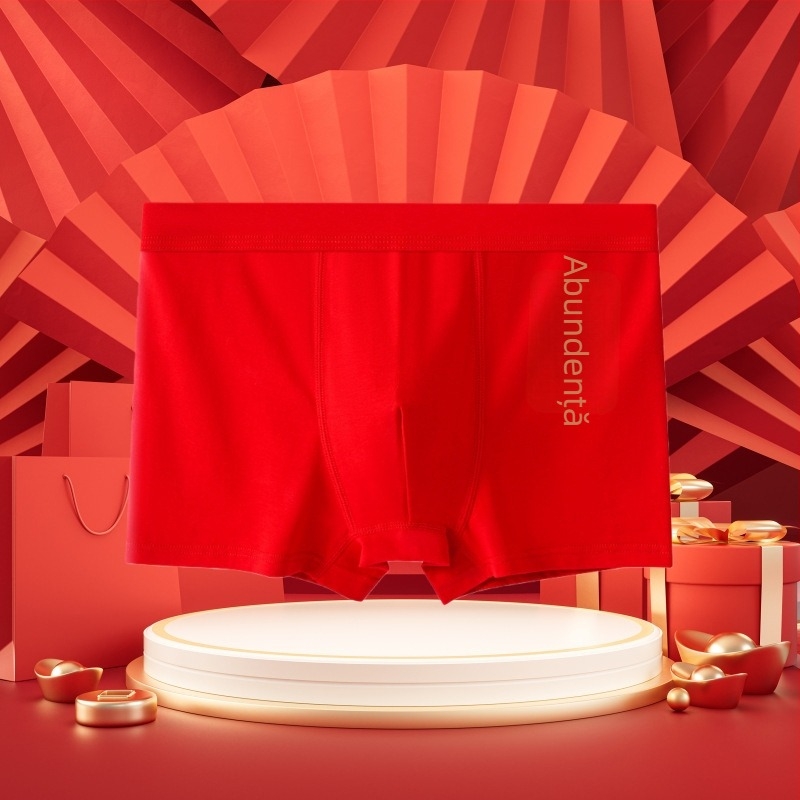 Boxeri pentru bărbați din bumbac, antibacterieni, cu motivul anului zodiacal 2025, talie medie, model text