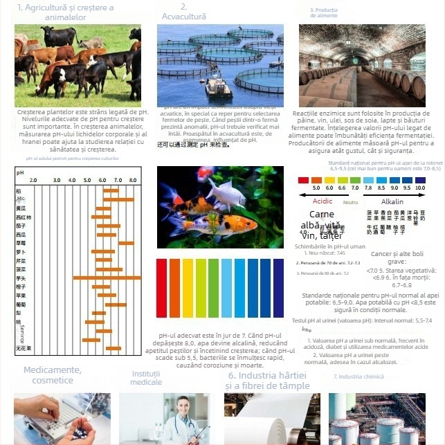 Tester pH/ORP și temperatură, 3-în-1, stil pix Ph-099 cu afișaj LCD, electrod compozit, interval pH 0.00–14.00, ORP -1999 până la 1999 mV, interval de temperatură 0–50°C