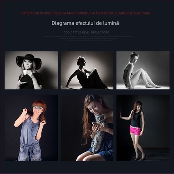 Lumină de studio cu reflector de 55°, grilă fagure, iluminare de fond, capac pentru proiector, construcție din aliaj de aluminiu