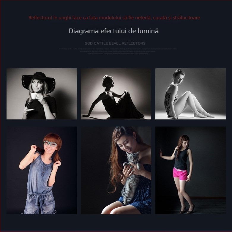 Lumină de studio cu reflector de 55°, grilă fagure, iluminare de fond, capac pentru proiector, construcție din aliaj de aluminiu