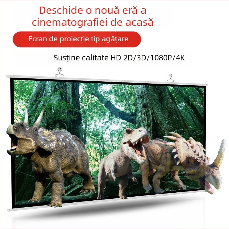VEIDADZ Ecran de Proiecție - Montat pe perete, Cortină din plastic