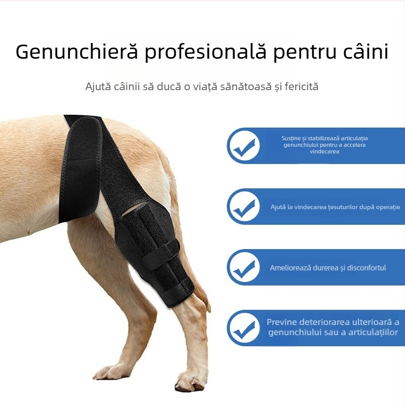 Protecții pentru genunchii câinilor cu bandă de susținere a piciorului, protecție a articulațiilor, fixator de fractură și protecție postoperatorie
