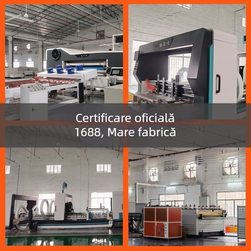 Cutie palet din plastic PP, design pliabil turnover, impermeabilă și rezistentă la umiditate și coroziune, încărcare 20–120 kg, grosime perete 2–8 mm, personalizare disponibilă