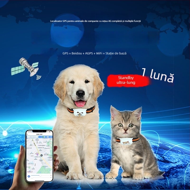 Colier locator pentru animale de companie cu 4G, compatibil Android/iOS, baterie 500 mAh, greutate 30 g, dimensiuni 31×61×16 mm
