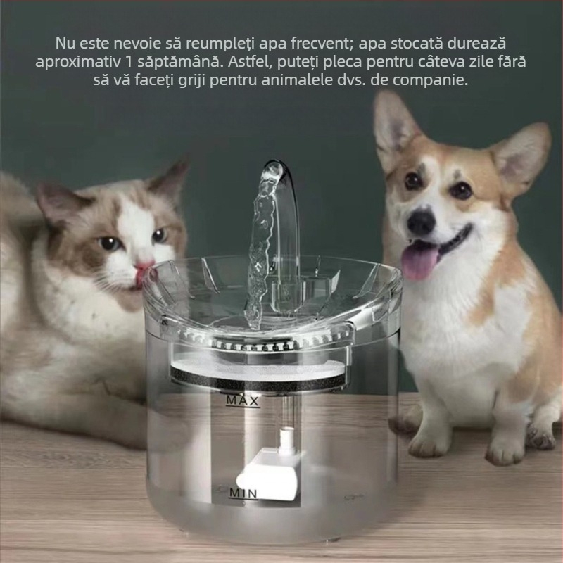 Fântână automată de apă pentru animale de companie, cu fereastră de vizualizare, pentru pisici și câini, circulație liniștită și filtrare automată