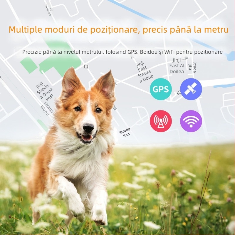 Trackere GPS pentru animale de companie cu poziționare Beidou pentru pisici, câini și oi – zgardă impermeabilă, alarme de vibrație, de întrerupere și de mișcare și perimetru; precizie GPS 15 m; IP67; baterie din polimer