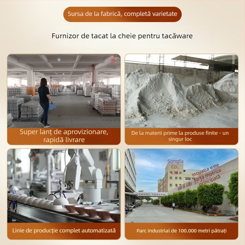 Set de boluri și farfurii din porțelan cu oase, stil chinezesc, relief, sub glazură, compatibil cu microunde, design modern minimalist