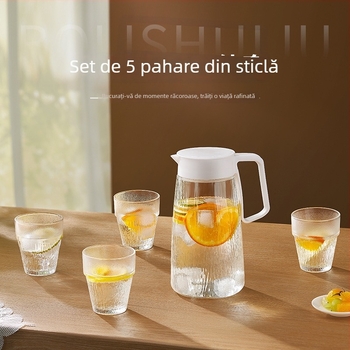 Set Nordic din sticlă rezistentă la căldură pentru apă rece, 5 piese cu pahare