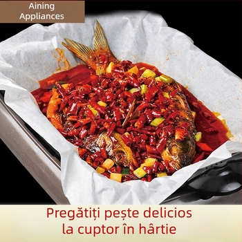 AN-301 Tigaie grill electrică pentru pește, detașabilă, pește înfășurat în hârtie