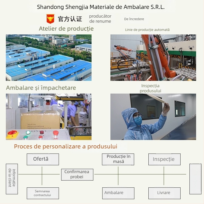 Cutie de prânz hexagonală din pulpă de hârtie, biodegradabilă, grosime 0,03 mm, capacitate 700/1100/1300/1600 ml
