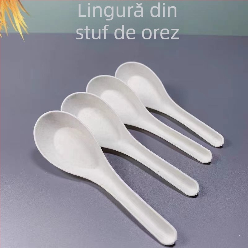 Set de tacâmuri de unică folosință, patru piese: boluri și bețișoare pentru mâncare (plastic, siguranță alimentară, ușor de utilizat)