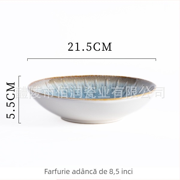 Set de veselă din porțelan cu glazură subglazură – farfurii rotunde cu relief, compatibil cu microunde, fabricat în Li Ling