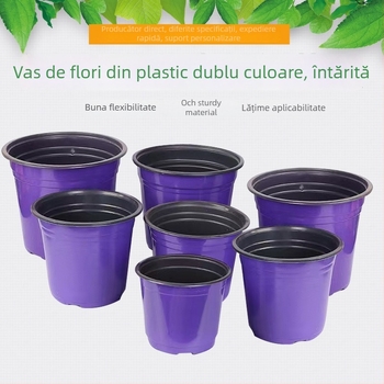 Vas pentru plante - din plastic, rezistent la coroziune, pentru utilizare pe podea, pentru amenajări verzi și creșterea butașilor