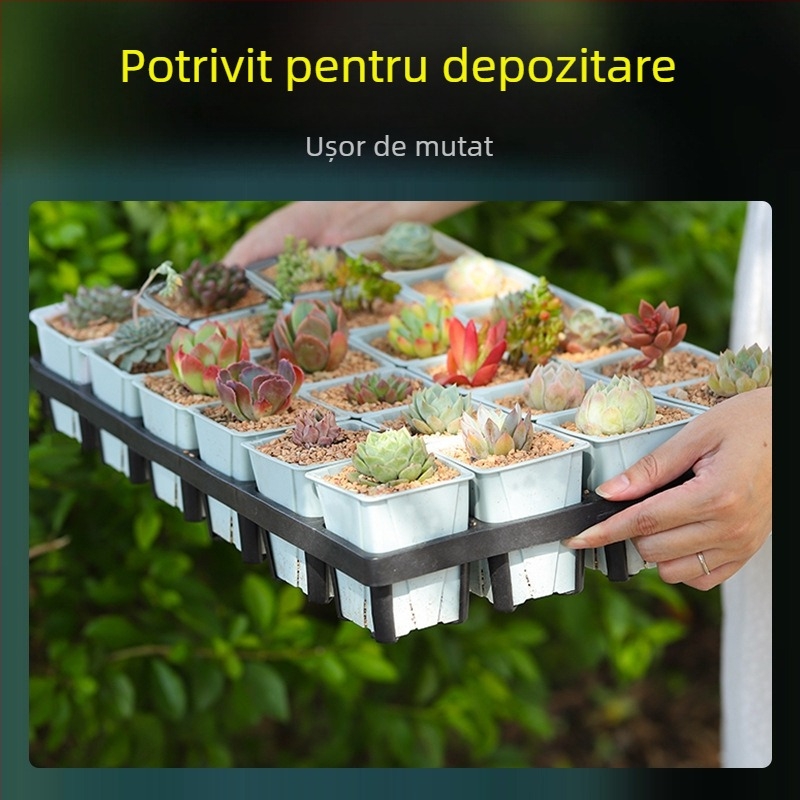 Tavă pătrată din plastic pentru răsaduri, cu compartiment inferior pentru nutrienți, turnare prin injecție, durabilă și rezistentă la coroziune, potrivită pentru suculente și înființarea plantelor