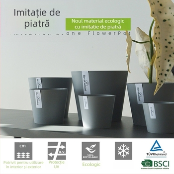 Ghiveci mic din rășină, minimalist, pentru birou, pentru Phalaenopsis și cactuți