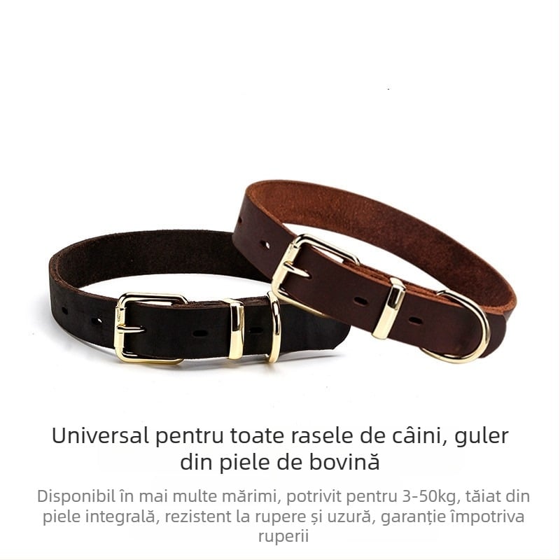 Gastroon zgardă pentru câini din piele de vițel, cu lesă, potrivită pentru câini de mici, medii și mari