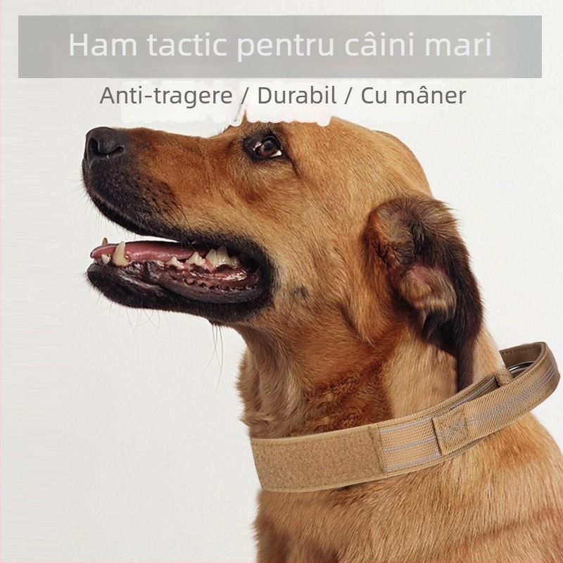 Colier și lesa din nylon pentru rase mari, potrivit pentru Golden Retriever și German Shepherd