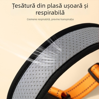Set zgardă și lesă pentru câini de talie medie, cu model în carouri colorate, din poliester, rezistent la mușcături