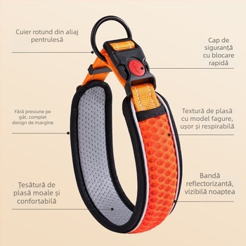 Set zgardă și lesă pentru câini de talie medie, cu model în carouri colorate, din poliester, rezistent la mușcături