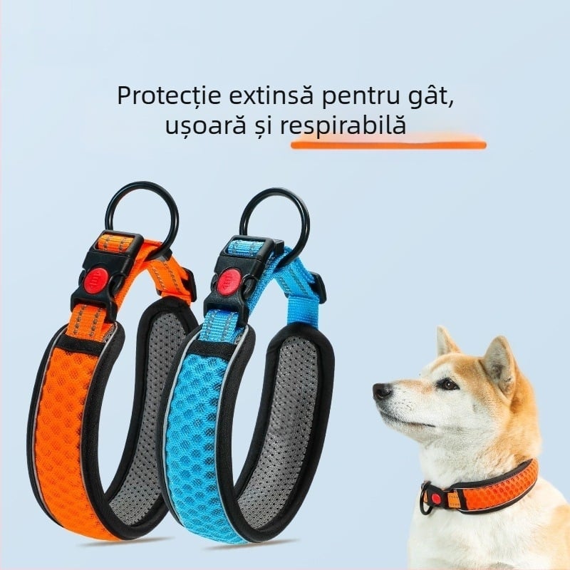 Set zgardă și lesă pentru câini de talie medie, cu model în carouri colorate, din poliester, rezistent la mușcături