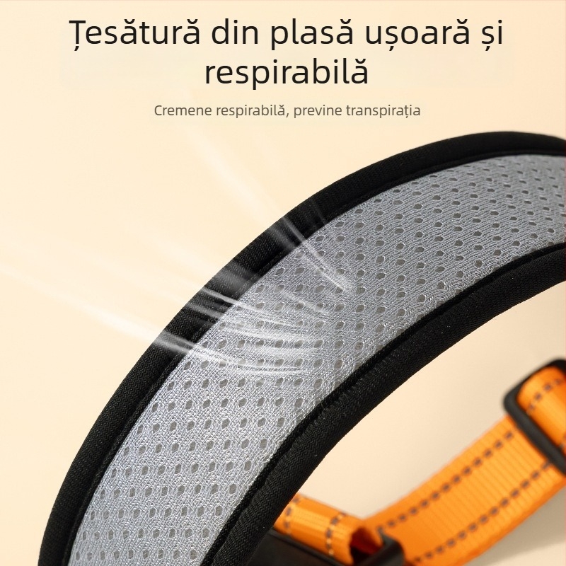 Set zgardă și lesă pentru câini de talie medie, cu model în carouri colorate, din poliester, rezistent la mușcături