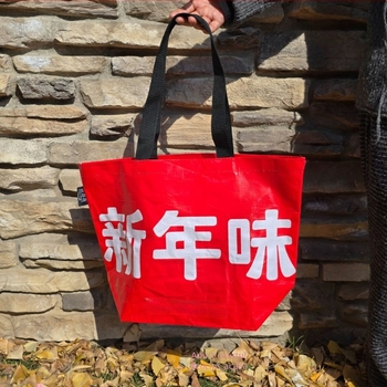 Geantă de cumpărături din plasă țesută manual, PP, imprimare color, încărcare 10 kg