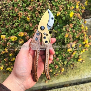 SK5 Foarfece de tăiat pentru pomi fructiferi, grădinărit, tăieturi grele pentru flori