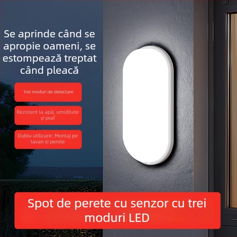 Lumină de perete exterior – stil simplu; carcasă PC; ambalaj SMD; 220V; funcționare continuă 16–24 de ore