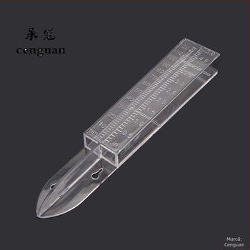 Pluviometru decorativ de grădină – din plastic, pentru măsurarea ploii