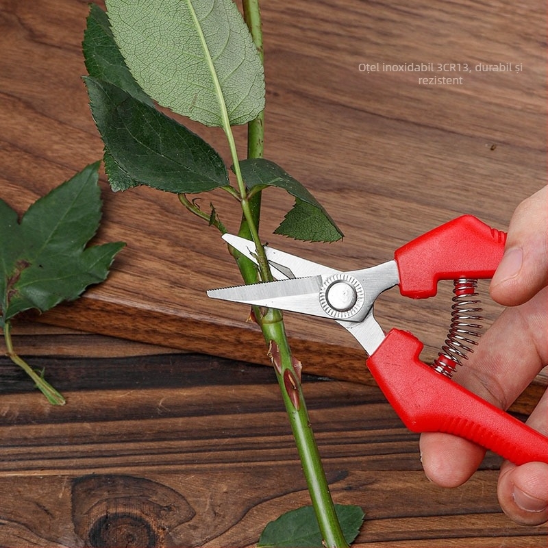 Weisheng Foarfă de tăiat crengi – Oțel inoxidabil, foarfeci multifuncționale de grădină pentru pomi fructiferi și viță de vie