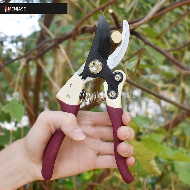 Insemaker Foarfă de tăiat crengi pentru pomi fructiferi – pentru crengi groase, unelte de grădină
