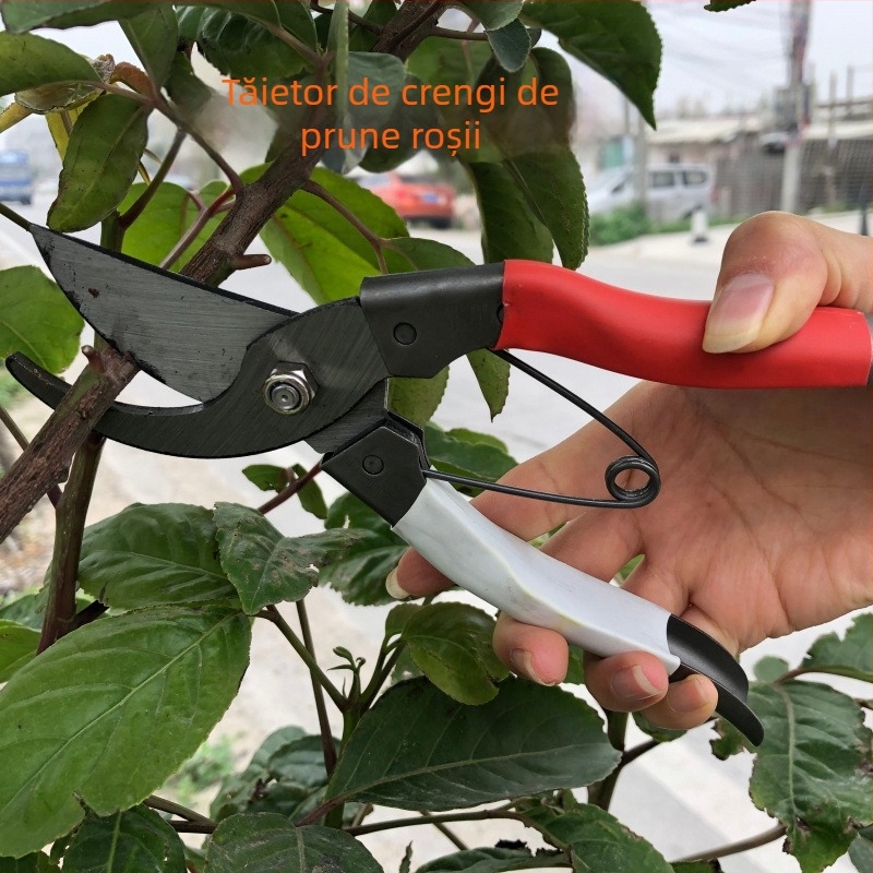 Foarfecă de tăiat ramuri groase pentru copaci și ramuri de fructe (Marcă: Unique)