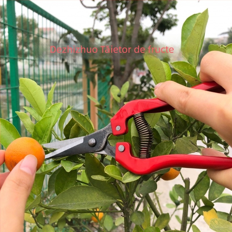 Foarfecă de tăiat ramuri groase pentru copaci și ramuri de fructe (Marcă: Unique)